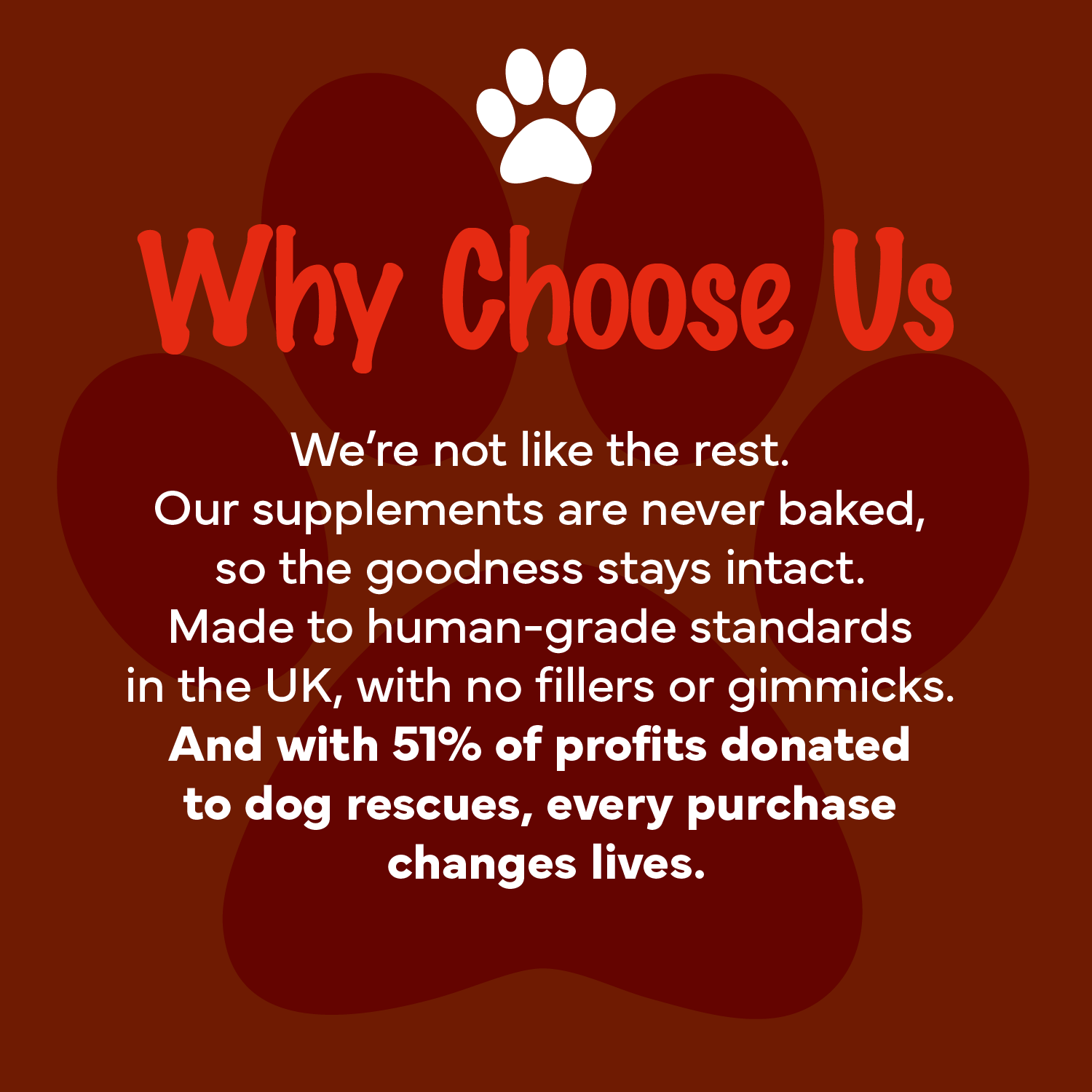 Canine Multivitamin