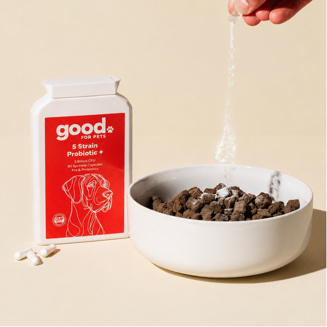 5 Strain Probiotic+