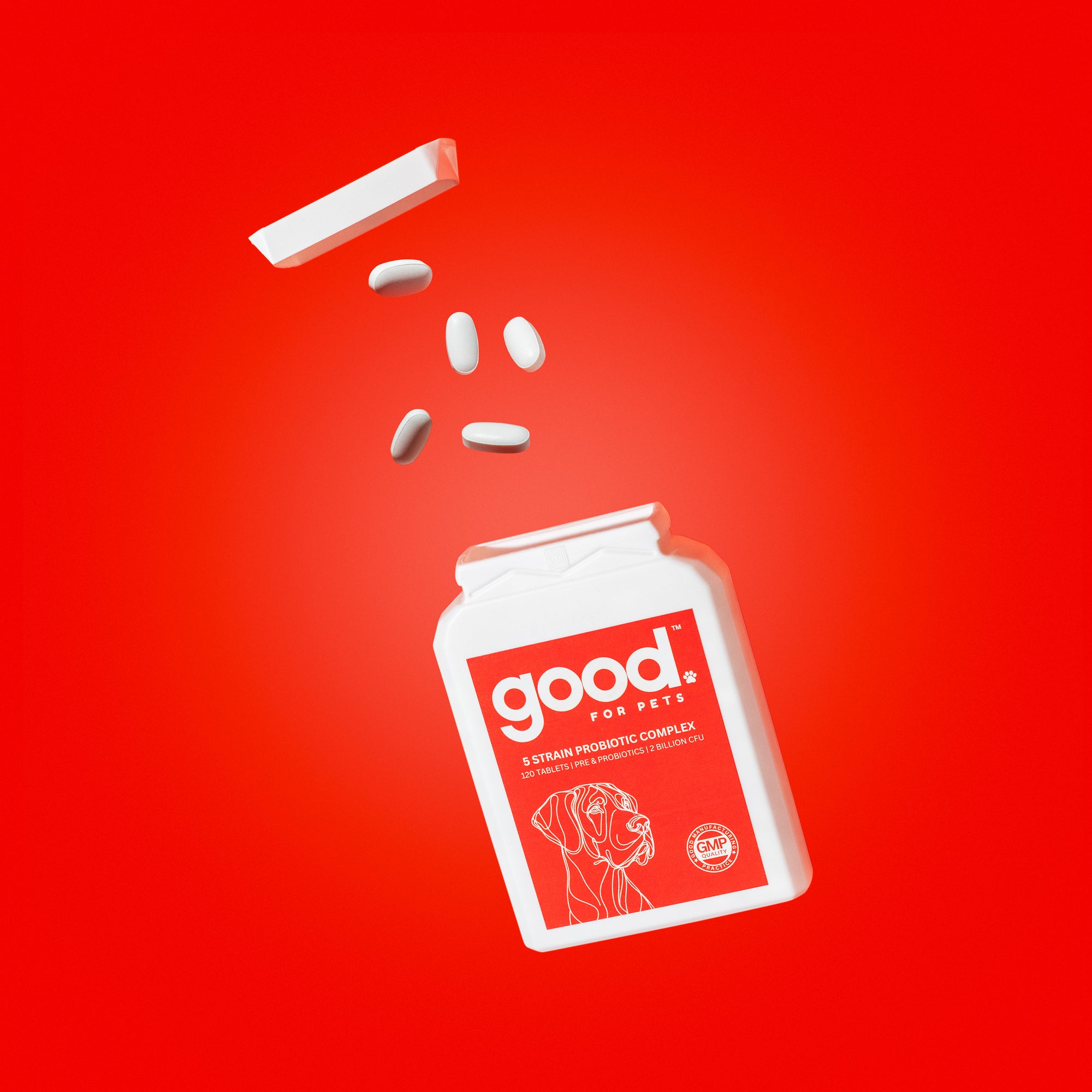5 Strain Probiotic Complex