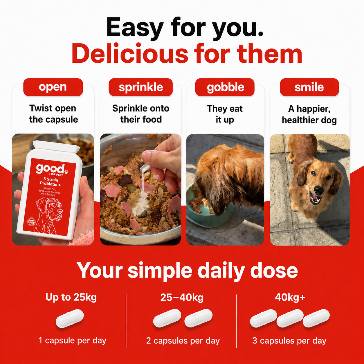 5 Strain Probiotic+