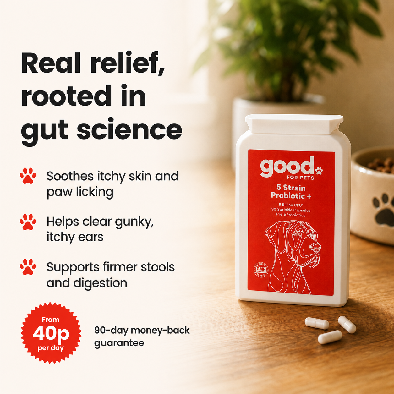 5 Strain Probiotic+