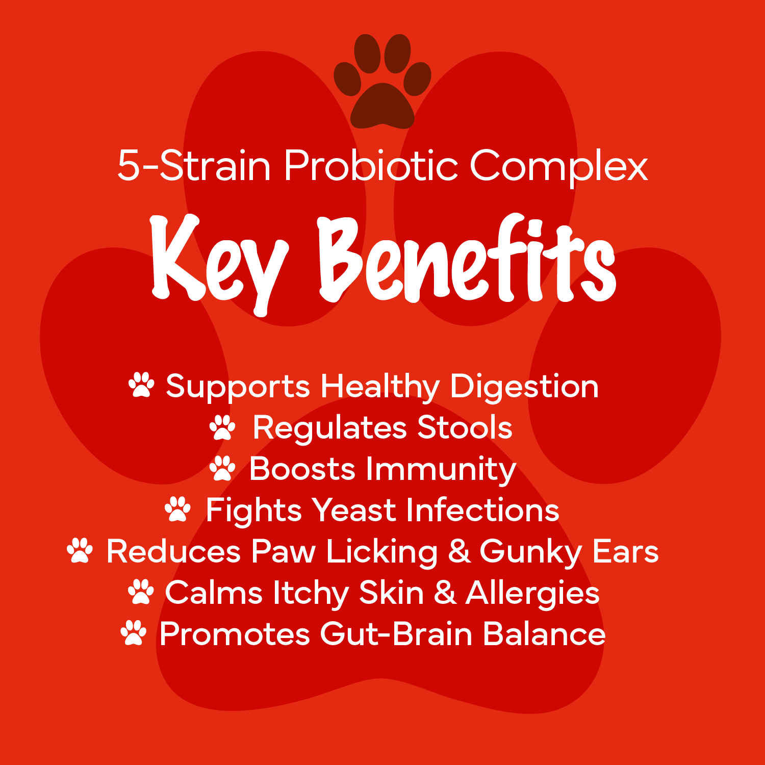 5 Strain Probiotic Complex
