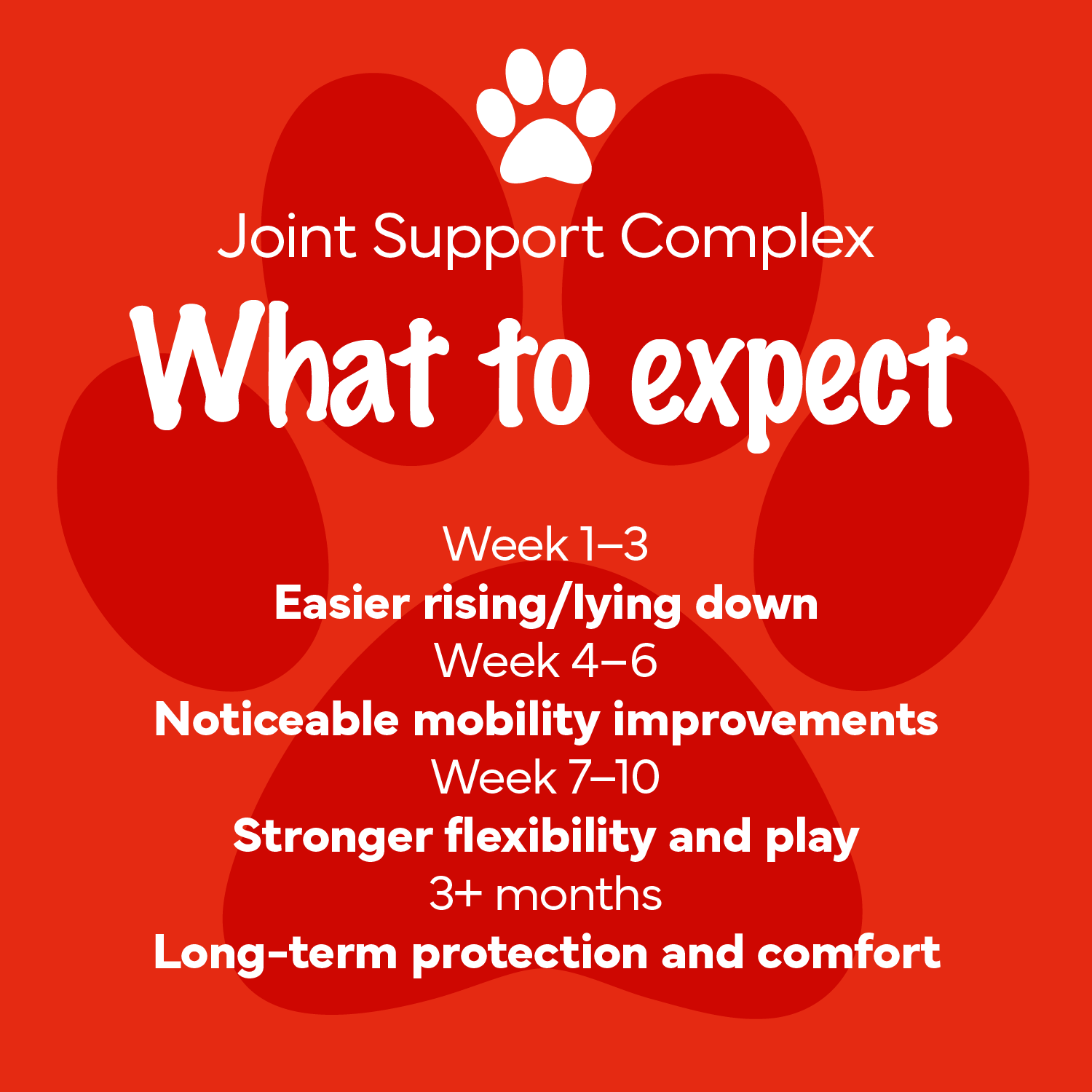Joint Support Complex