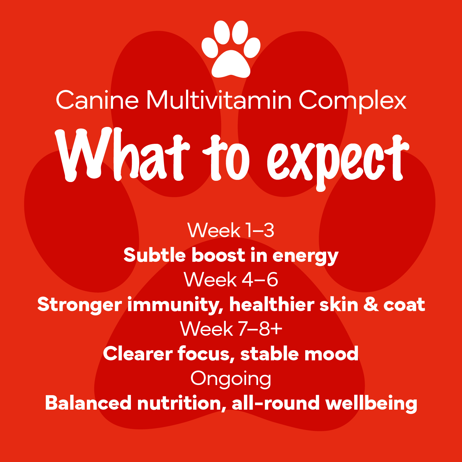 Canine Multivitamin
