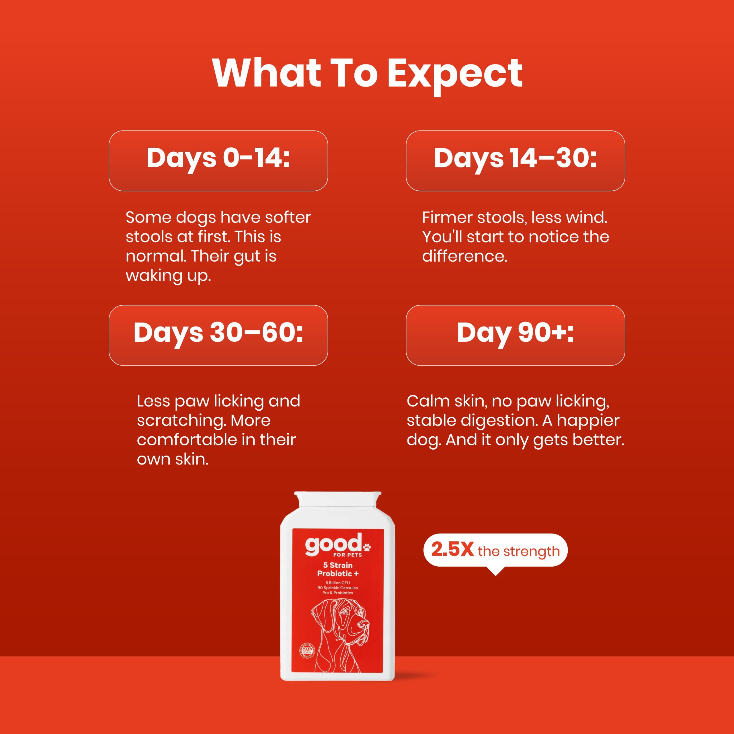 5 Strain Probiotic+