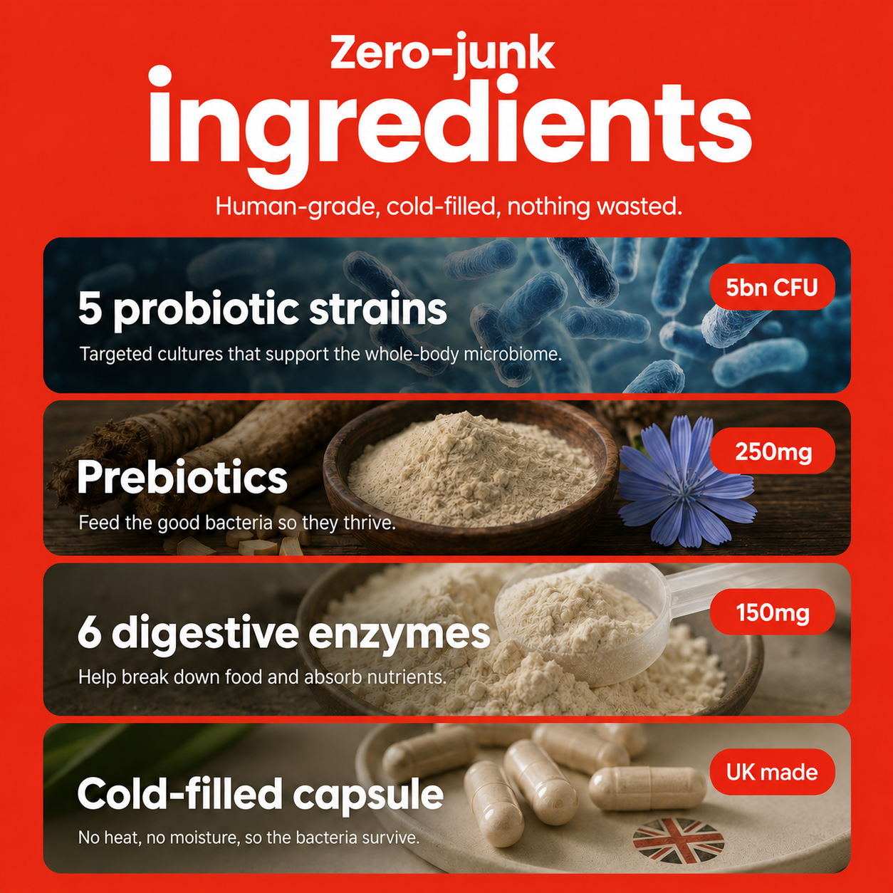 5 Strain Probiotic+